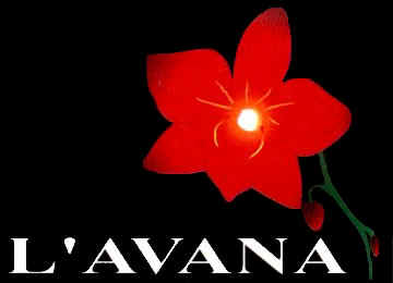 Logo L'Avana